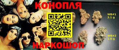 индика Янаул
