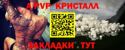 спиды Ярославль