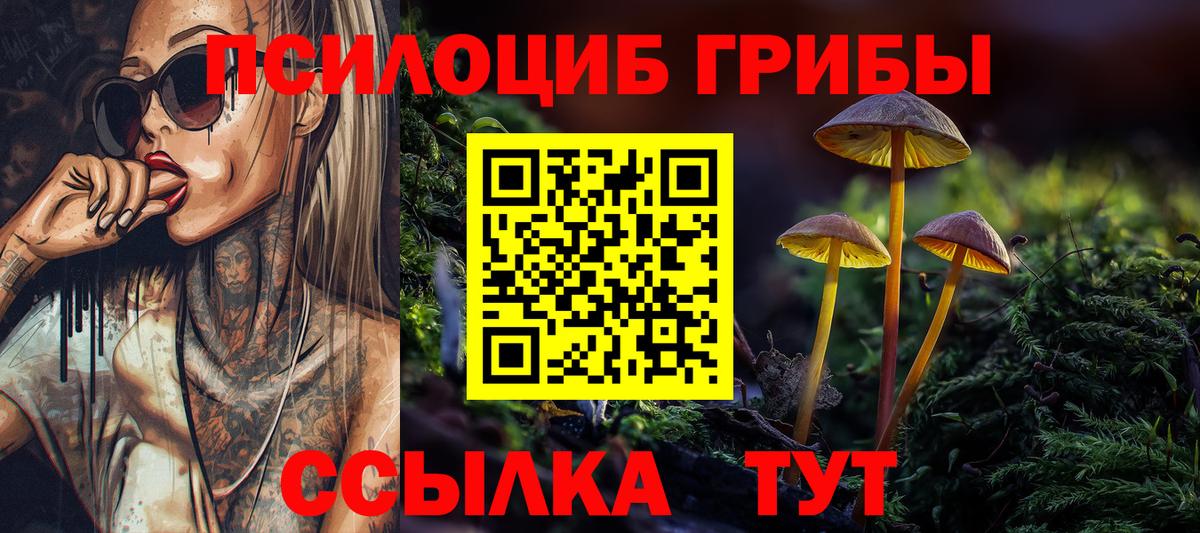 Благодарный  Псилоцибиновые грибы GOLDEN TEACHER  Вход с VPN  Галлюциногенные грибы MAGIC MUSHROOMS 